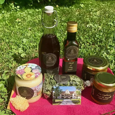 B&B Chateau De D'hotes