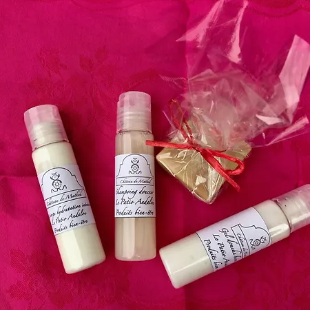 住宿加早餐酒店 Chateau De D'hotes 4*