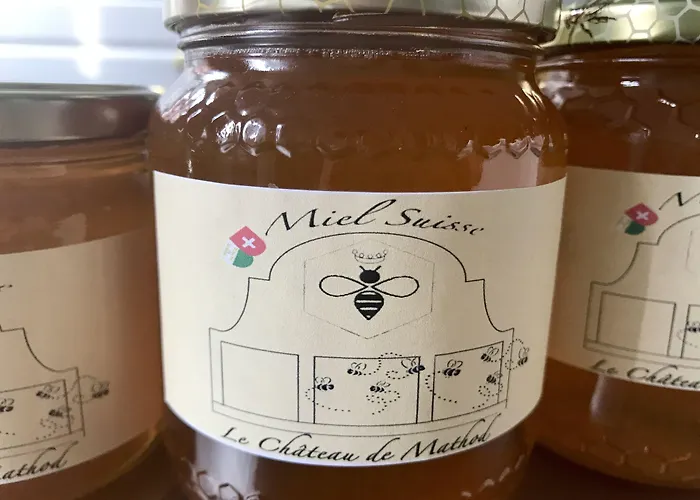 Alojamento de Acomodação e Pequeno-almoço Château De D'hôtes 4*