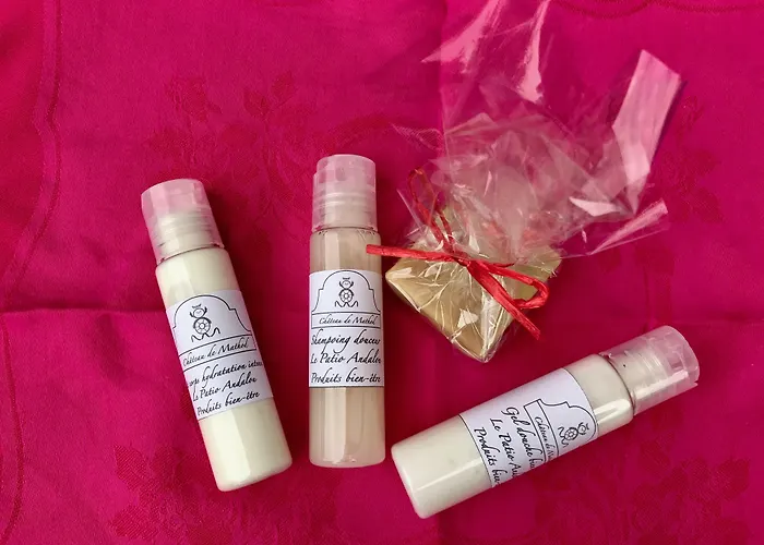 Bed & Breakfast Chateau De D'hotes 4*