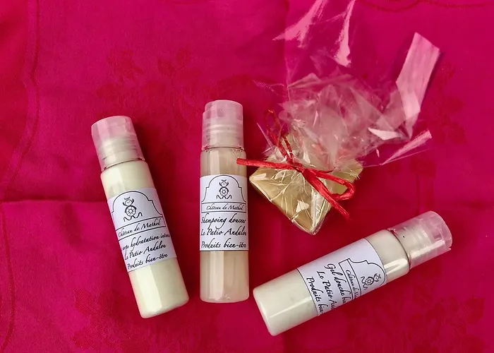 Chateau De D'hotes 住宿加早餐酒店