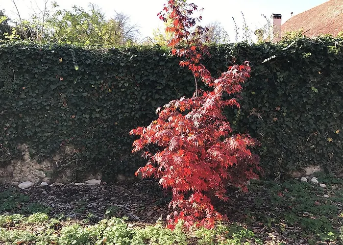 Chateau De D'hotes Bed & Breakfast 4*