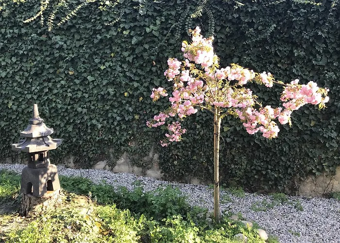 Chateau De D'hotes Mathod