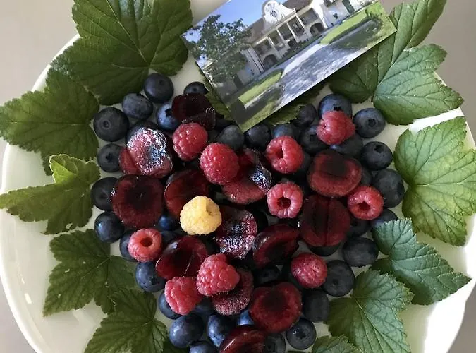 Chateau De D'hotes 4*