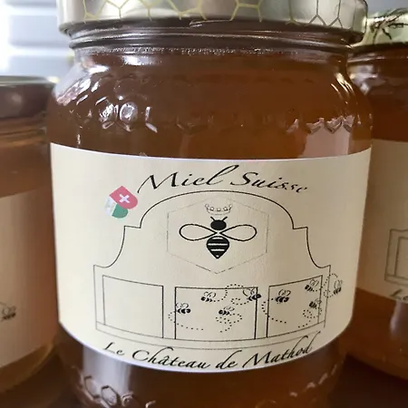 Alojamento de Acomodação e Pequeno-almoço Château De D'hôtes 4*